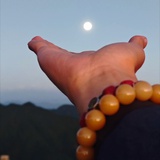 袁弘 茴关可看