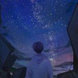 智向