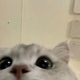 豆友niLfXIoKok