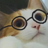 玛丽苏