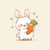 豆友52XKti6pjE