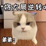豆友f5pvPyAx-I