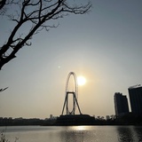 一帆风顺