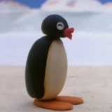 豹
