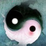 豆友1HWNGKSVeg