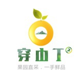 穿山丁