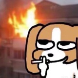 8号细胞