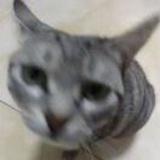 豆友Tn_oleOYoE