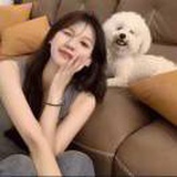 泡泡