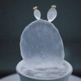 追月