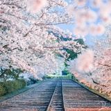 隨緣自在