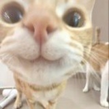 豆友90jxQQ0Sgg