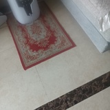 🕷️🕷️🕷️