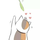 豆友289774627