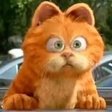 没人爱的猫