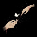 Cherish 珍爱