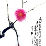 程天蓝