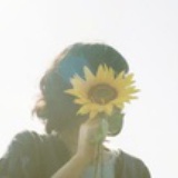Sunflower S.