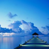 UI 老流氓