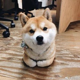 炉钩子
