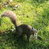 女巫凶猛🦹‍♀