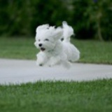 Onefine