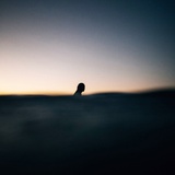 人世间 - Chee
