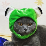 兎usagi子