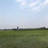 俞素心