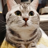 王小満Fullife.