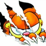 安ann