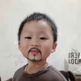 冰傲