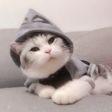 熙游___记