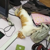 益铭