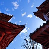 亦