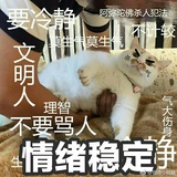 一杯维他乳