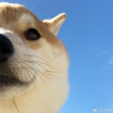 阿睿