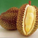 榴莲君的快乐