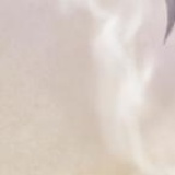 汪仔