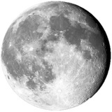 LonelyMoony