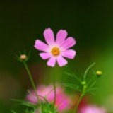 Weilling