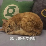 (´ . .̫ . `)
