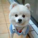 卡普