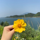 苏西爱夏天