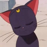 假发小太郎