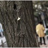 宝贝糖