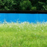 spring256