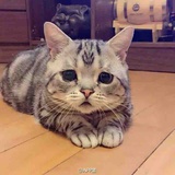 头发乱了
