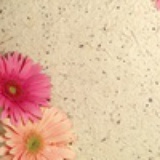 清醒无言