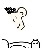 +2